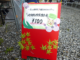 お祭りの写真